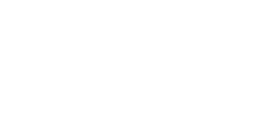 Logo Fenix Favignana bianco